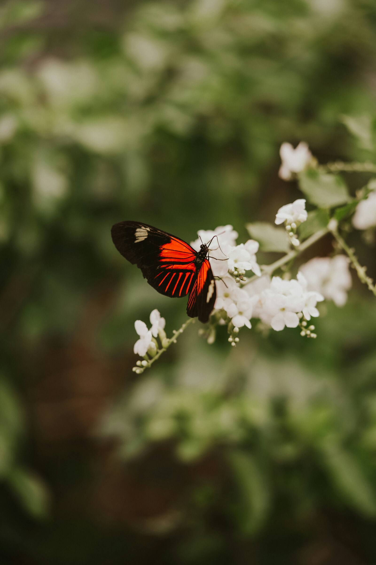 Insectarium de Montréal