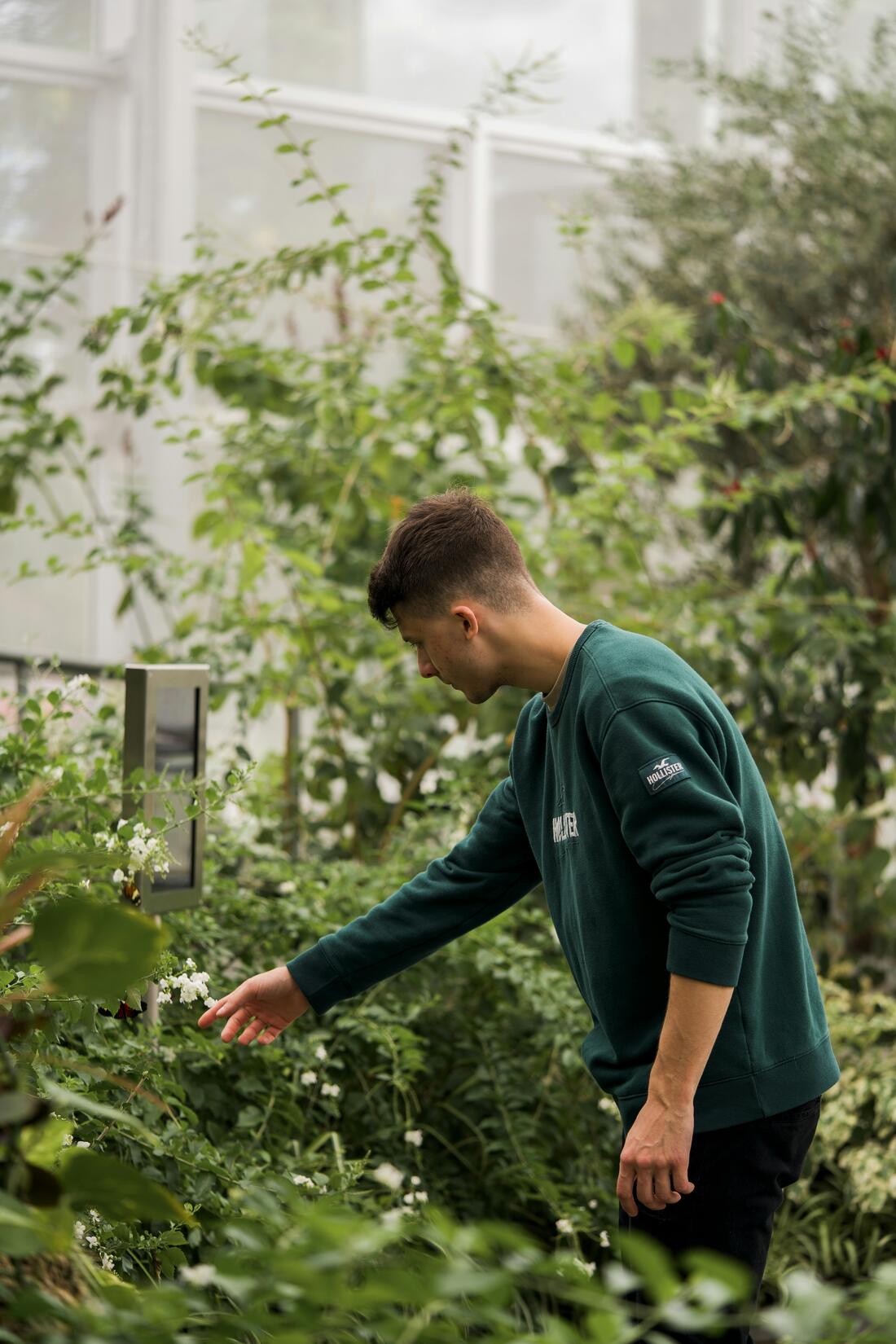 Visiteur observant les plantes et les papillons dans une serre luxuriante