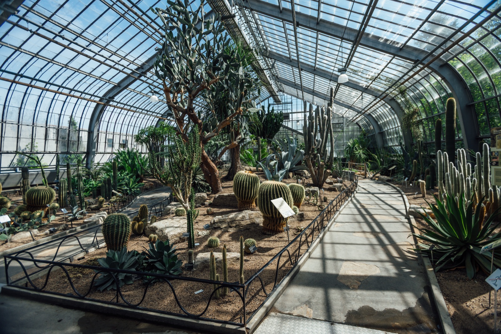 Serre des cactus du Jardin botanique de Montréal