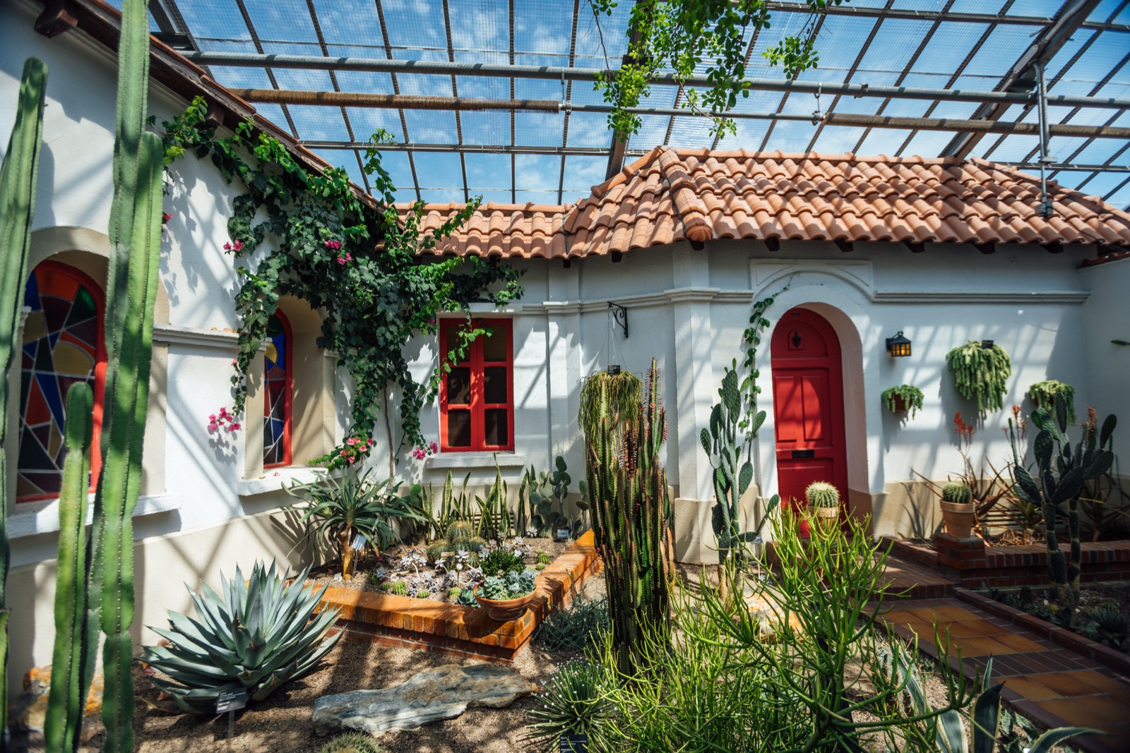 Cour d'inspiration mexicaine de la serre des régions arides, murs blancs et cactus