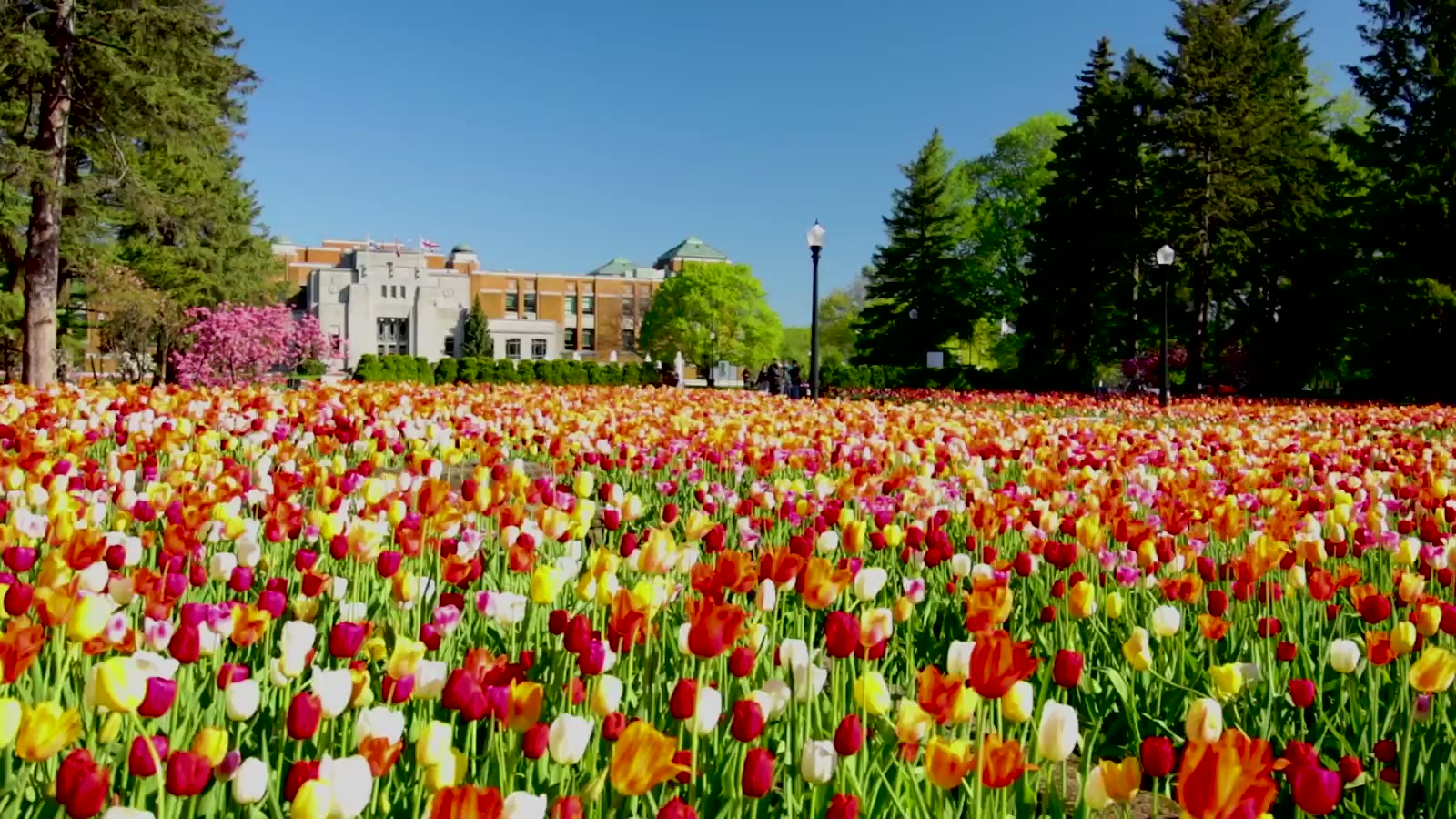 Jardin Botanique de Montréal