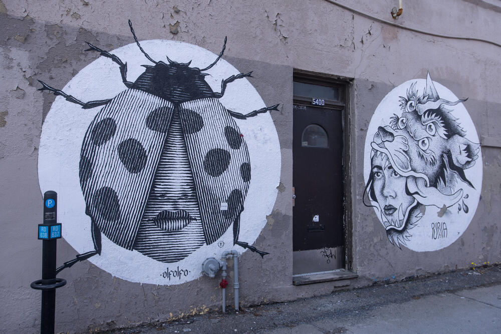 Murale en noir et blanc : coccinelle et lynx