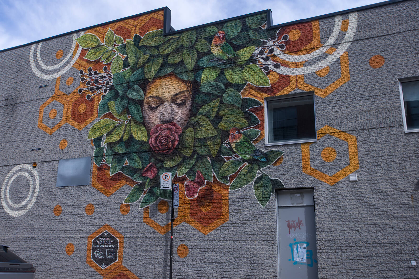 Murales de Rosemont