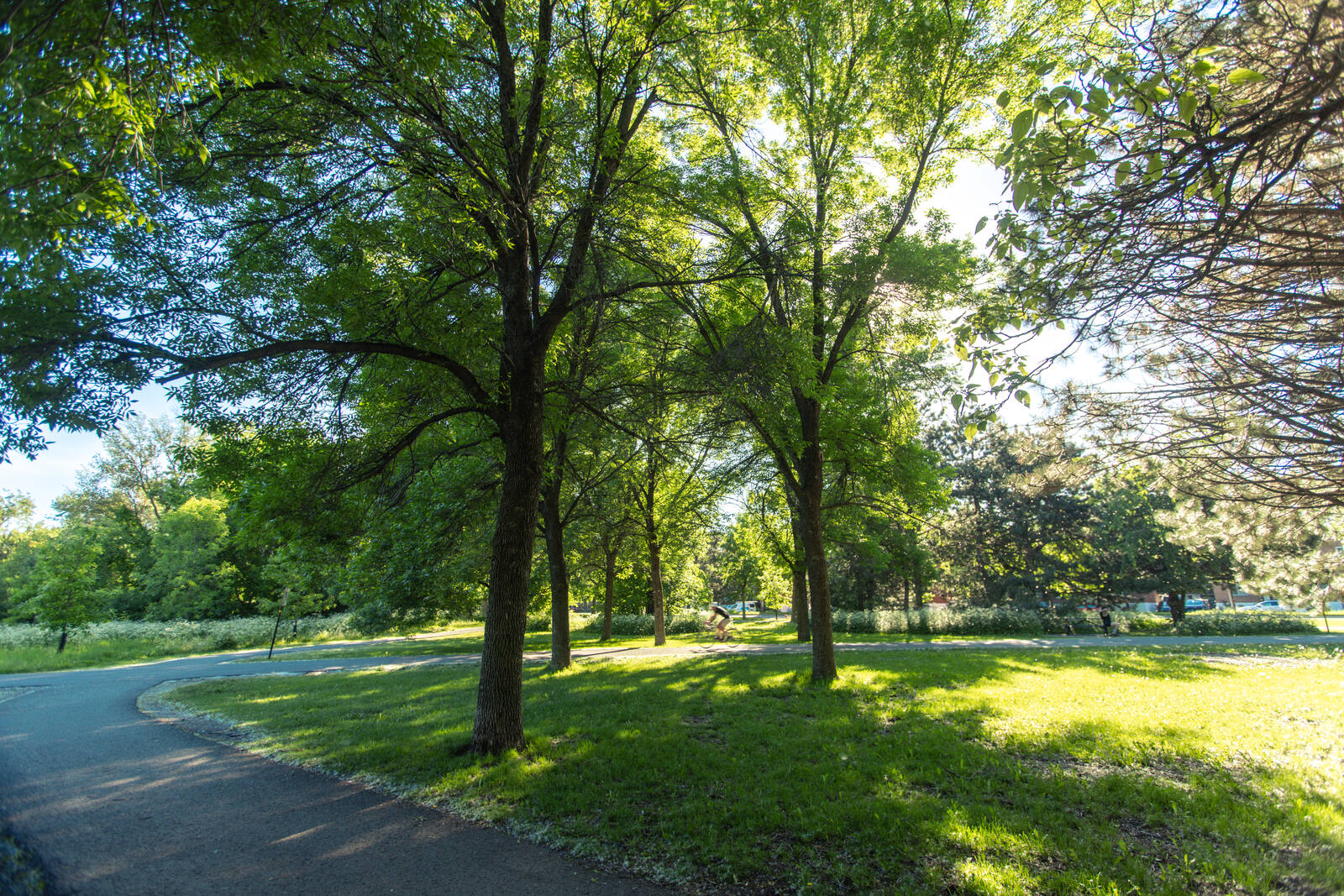 Réseau cyclable urbain